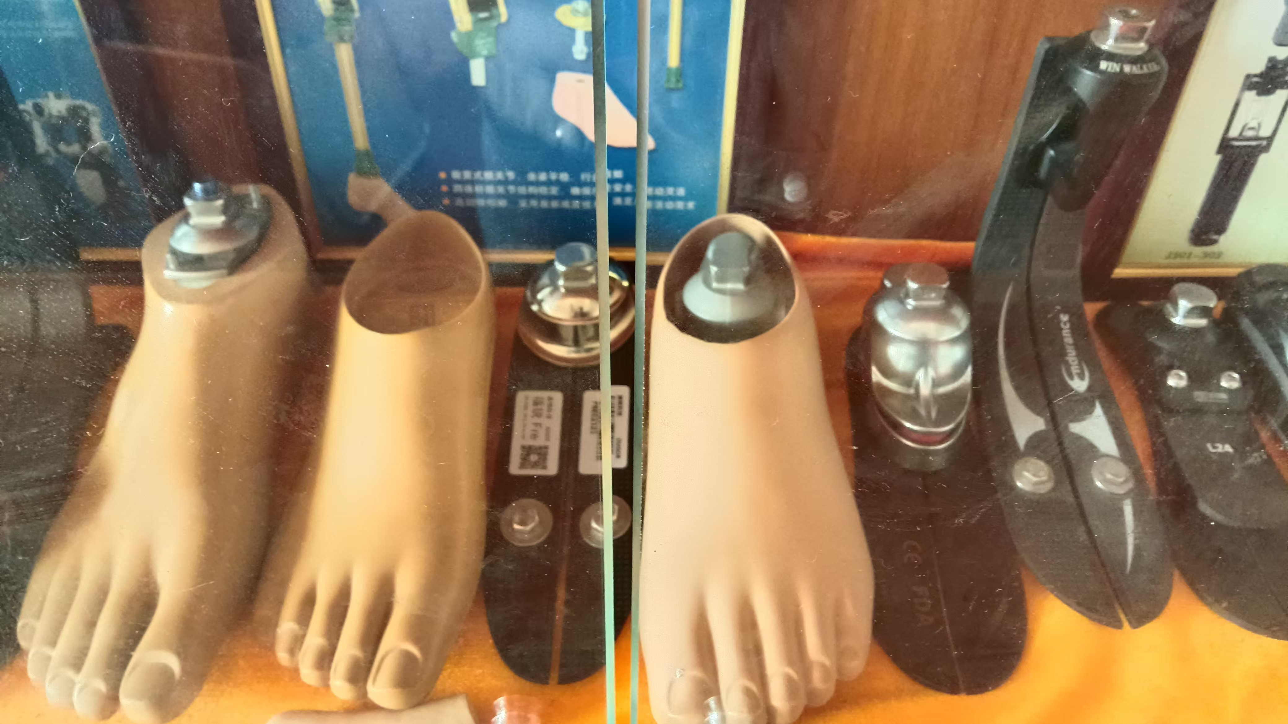 假肢脚板怎么选