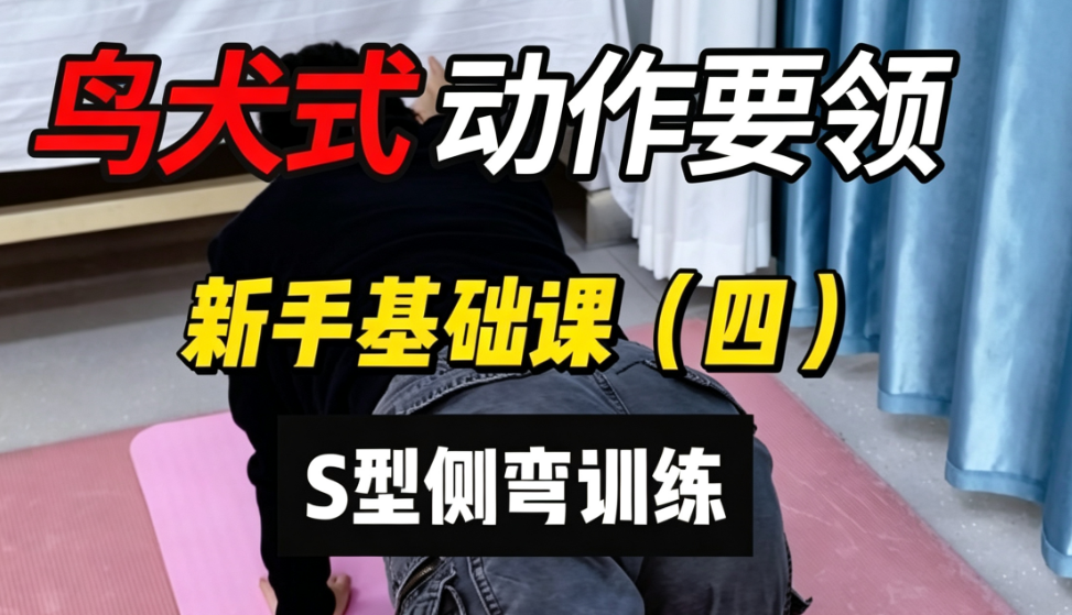 脊柱侧弯孩子居家训练基础课-鸟犬式
