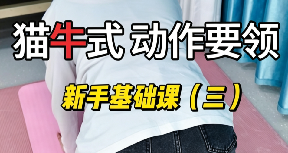 脊柱侧弯孩子居家训练基础课-猫牛式